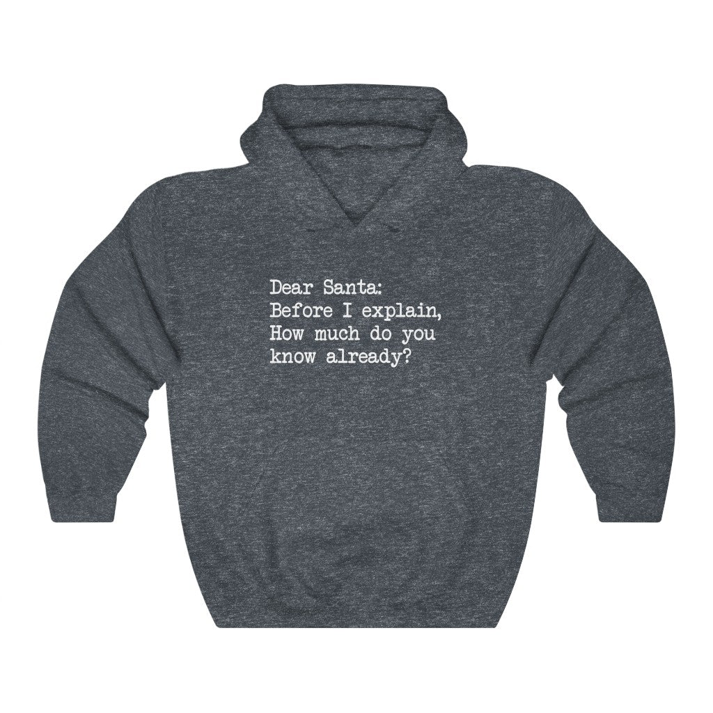 Dear Santa, Let Me Explain Hooded Sweatshirt Dear Santa, Let Me Explain Hooded Sweatshirt