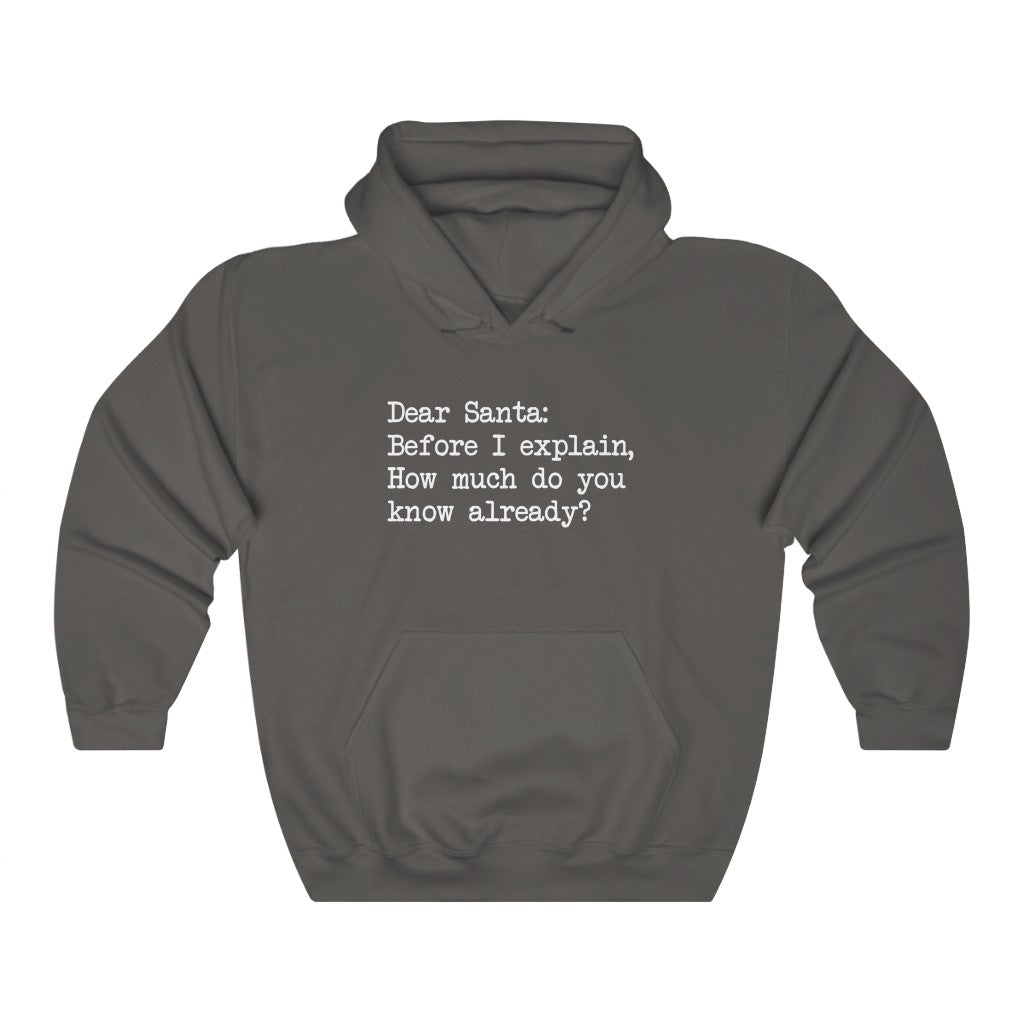 Dear Santa, Let Me Explain Hooded Sweatshirt Dear Santa, Let Me Explain Hooded Sweatshirt