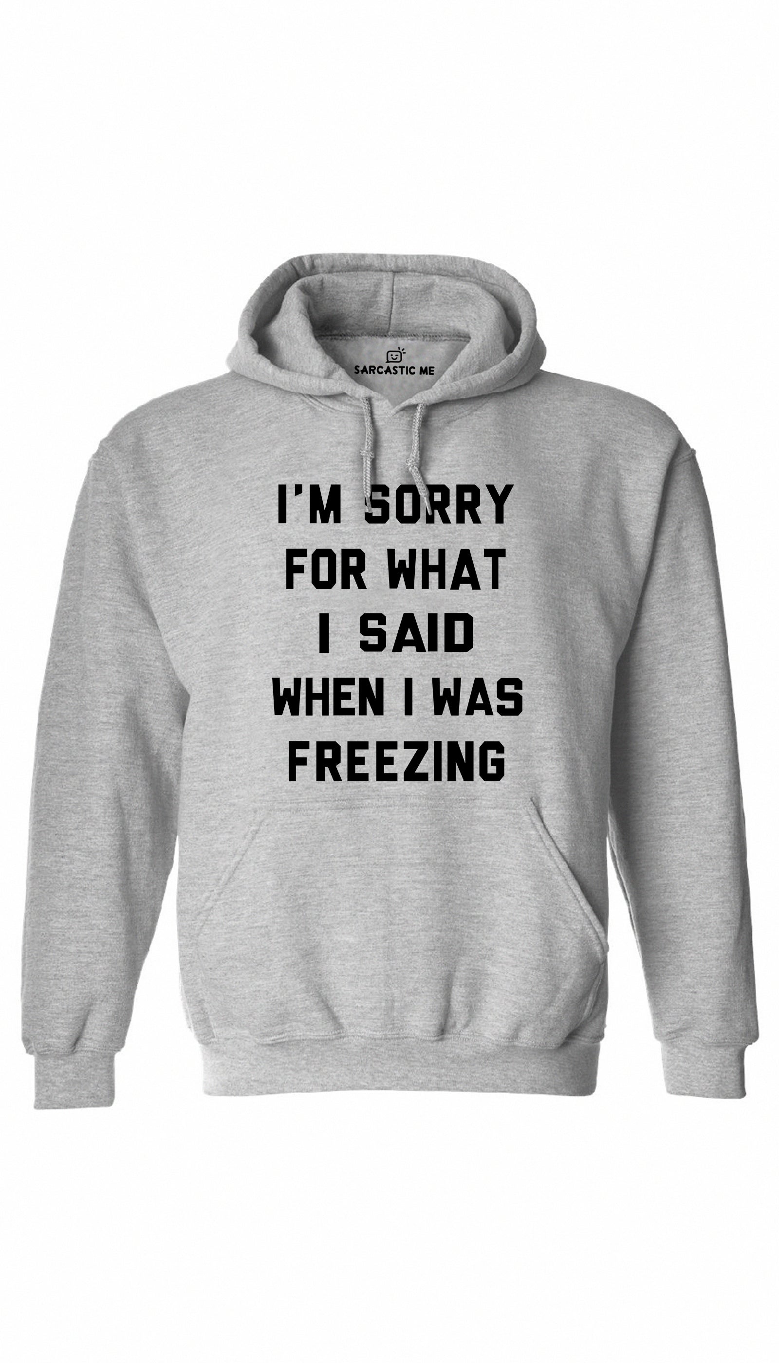 I'm Sorry For What I Said When I Was Freezing Hoodie I'm Sorry For What I Said When I Was Freezing Gray Hoodie | Sarcastic ME