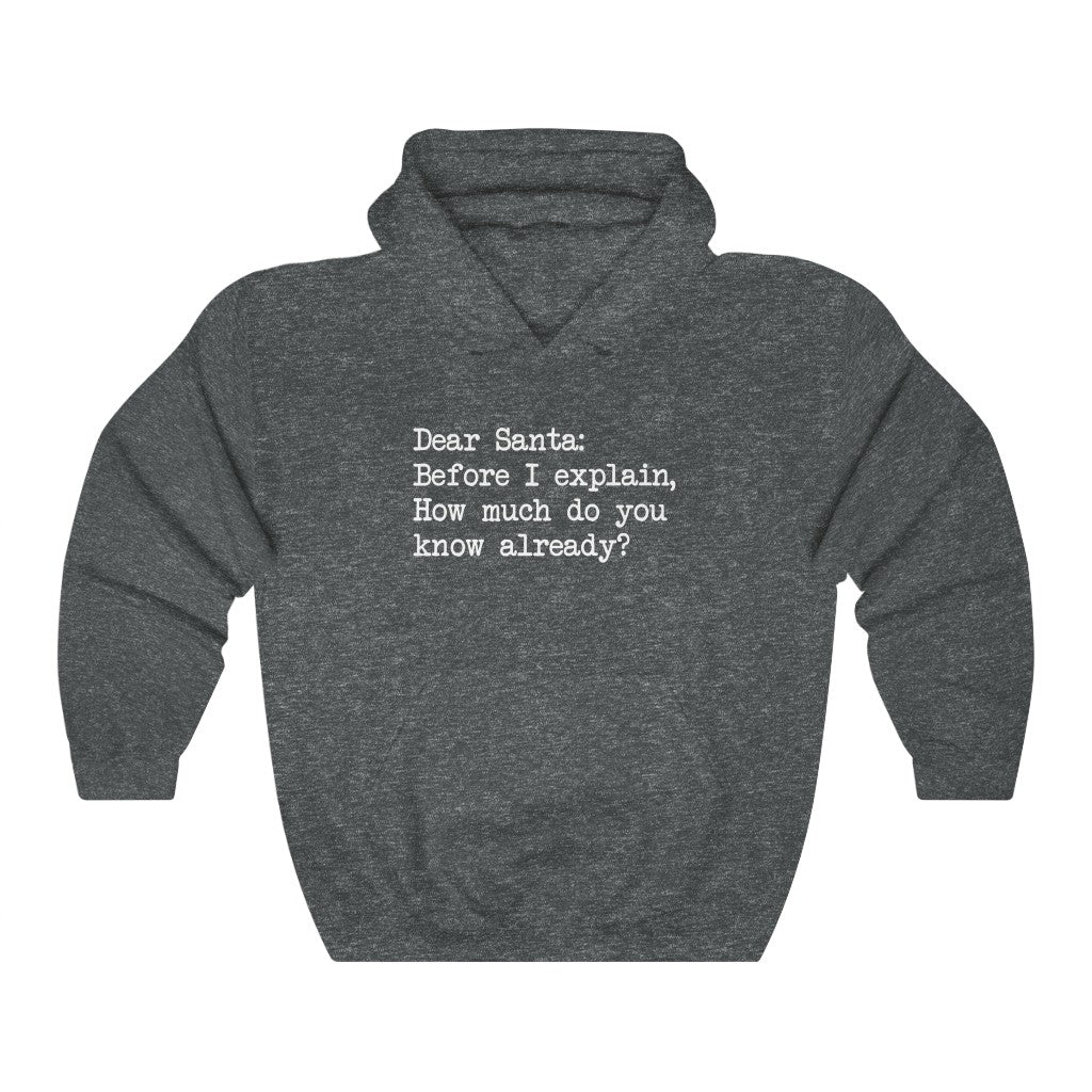 Dear Santa, Let Me Explain Hooded Sweatshirt Dear Santa, Let Me Explain Hooded Sweatshirt
