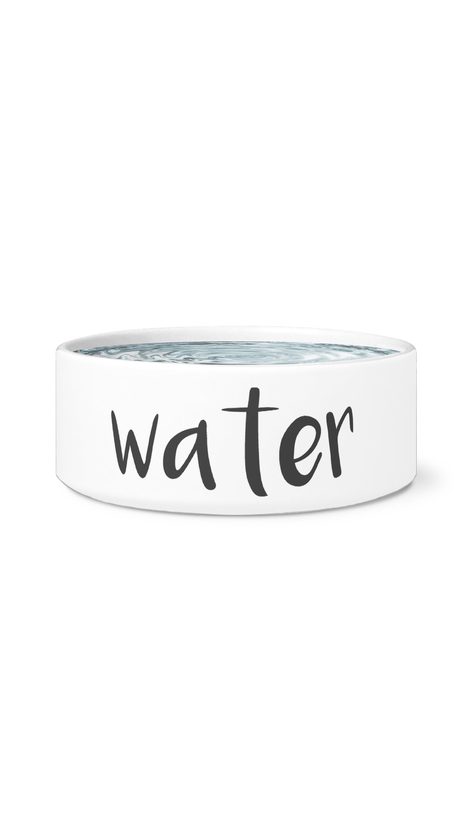 Water Pet Bowl Water White Pet Bowl | Sarcastic Me