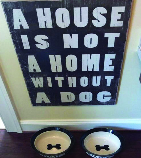 30 Sarcastic Items Every Dog Lover Must Have