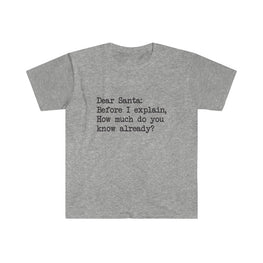 Dear Santa, Let Me Explain T-Shirt