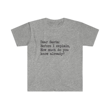 Dear Santa, Let Me Explain T-Shirt