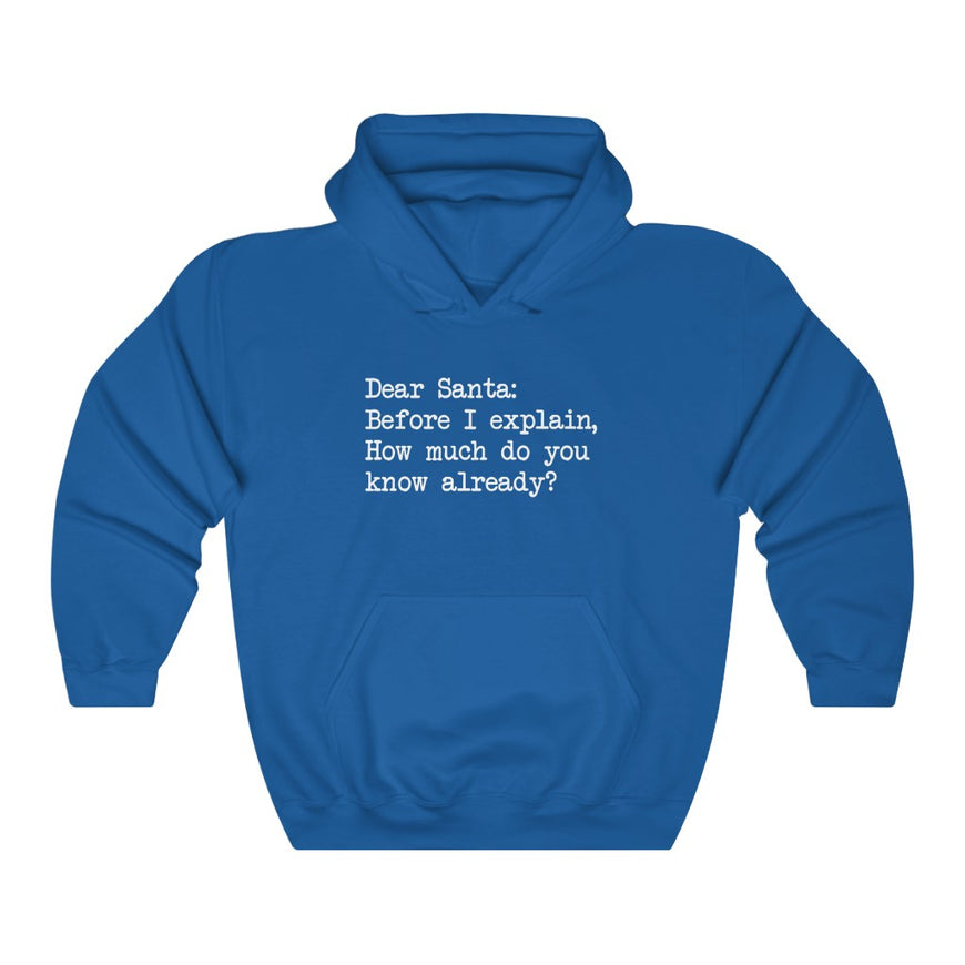 Dear Santa, Let Me Explain Hooded Sweatshirt