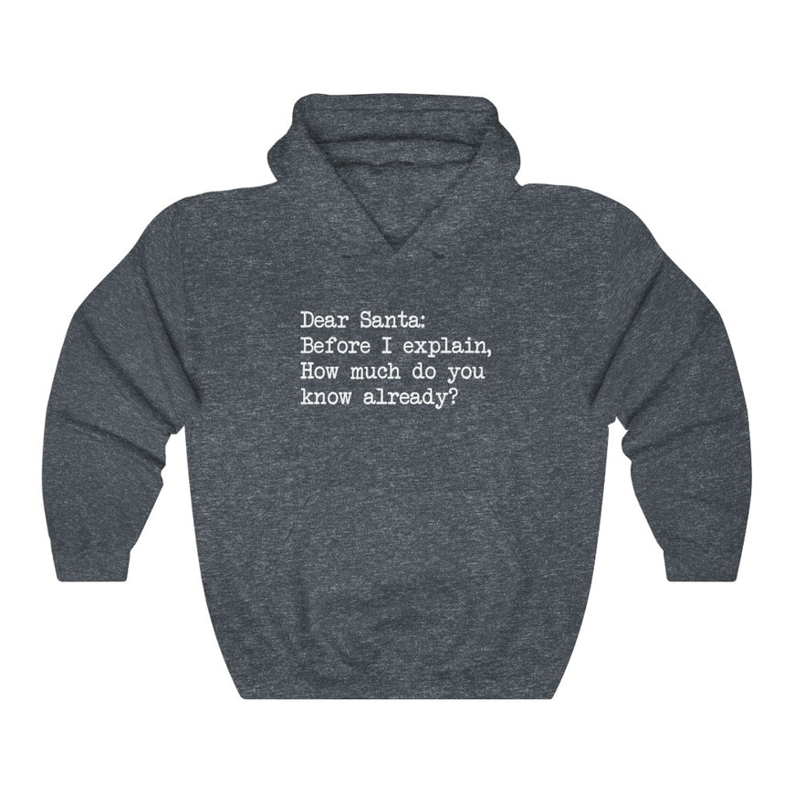 Dear Santa, Let Me Explain Hooded Sweatshirt