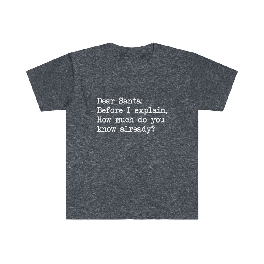 Dear Santa, Let Me Explain T-Shirt
