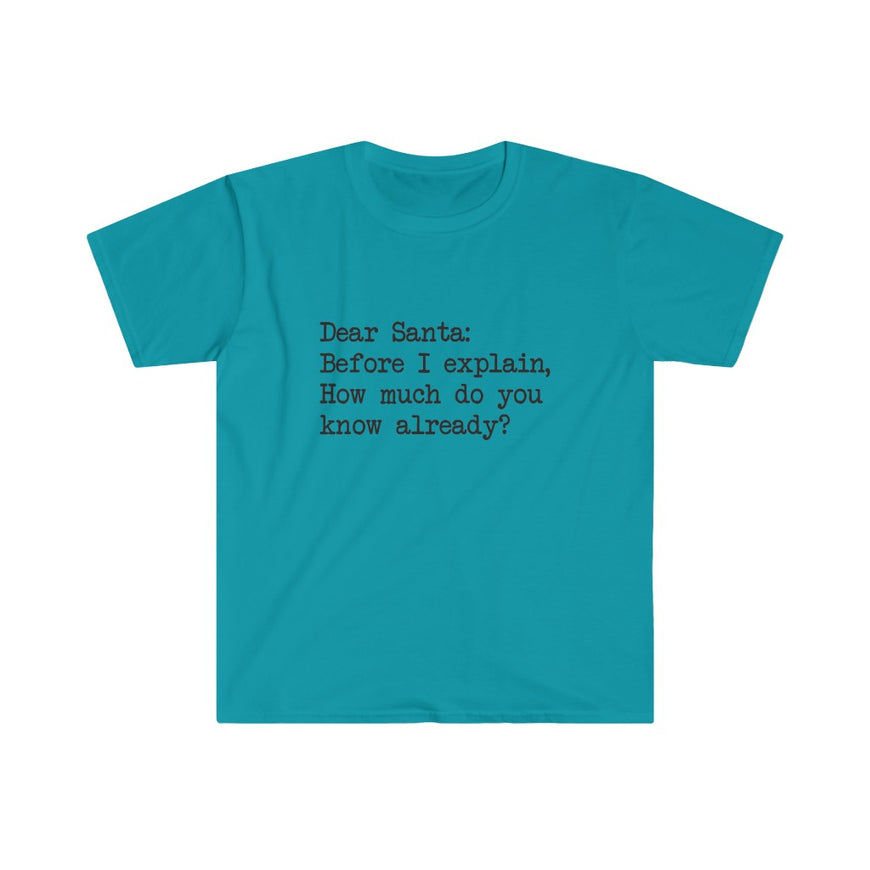 Dear Santa, Let Me Explain T-Shirt