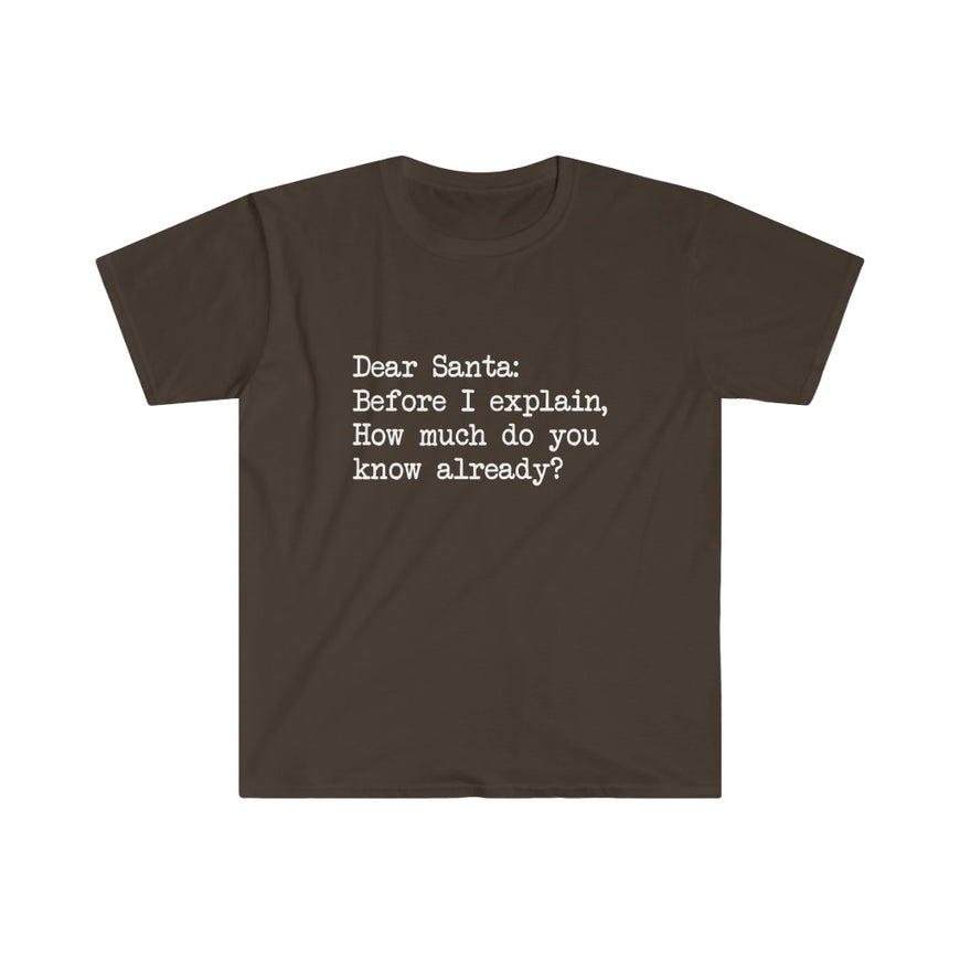Dear Santa, Let Me Explain T-Shirt