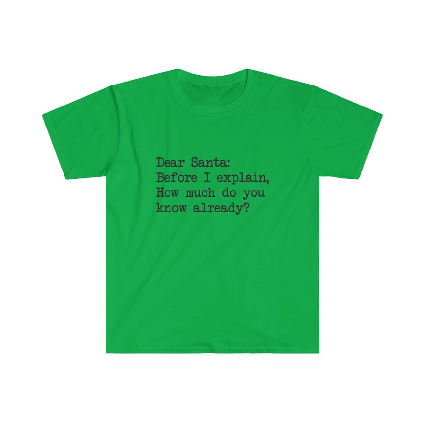 Dear Santa, Let Me Explain T-Shirt