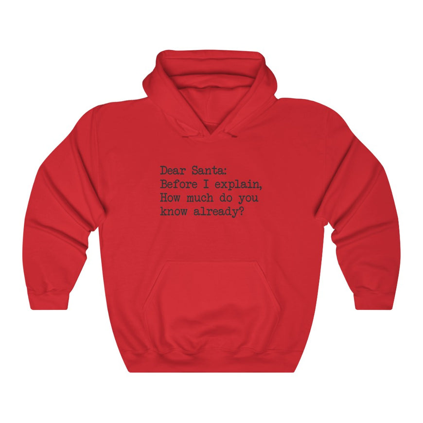 Dear Santa, Let Me Explain Hooded Sweatshirt