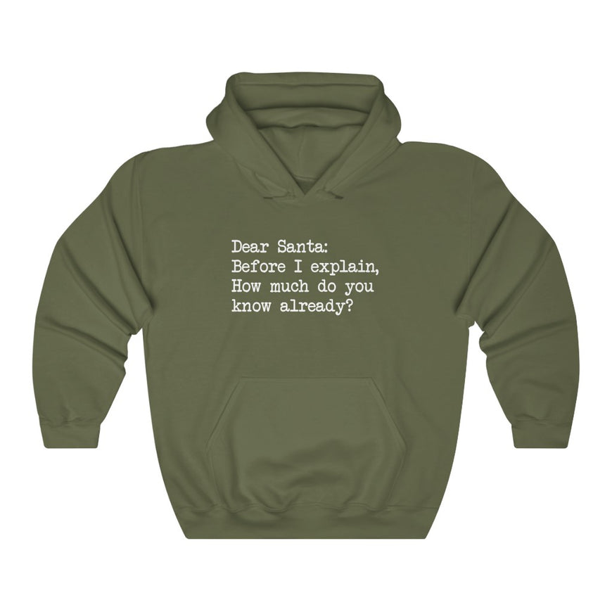 Dear Santa, Let Me Explain Hooded Sweatshirt