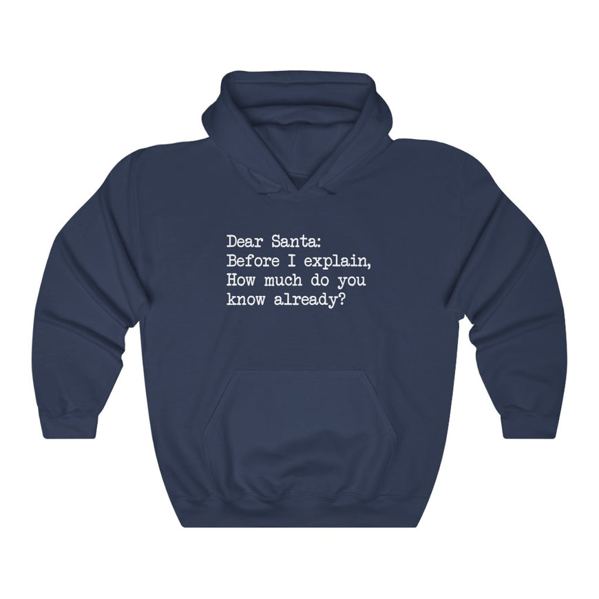 Dear Santa, Let Me Explain Hooded Sweatshirt