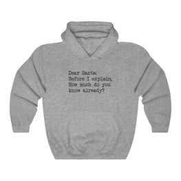 Dear Santa, Let Me Explain Hooded Sweatshirt