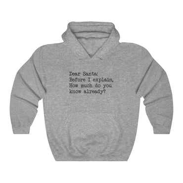 Dear Santa, Let Me Explain Hooded Sweatshirt