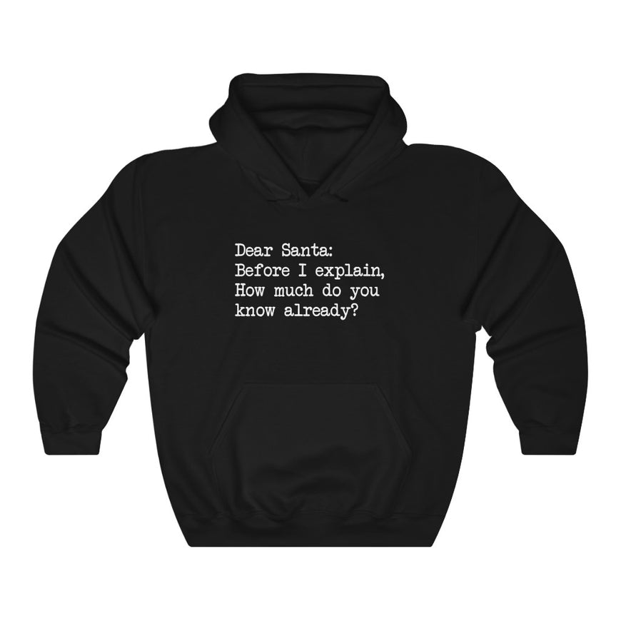 Dear Santa, Let Me Explain Hooded Sweatshirt