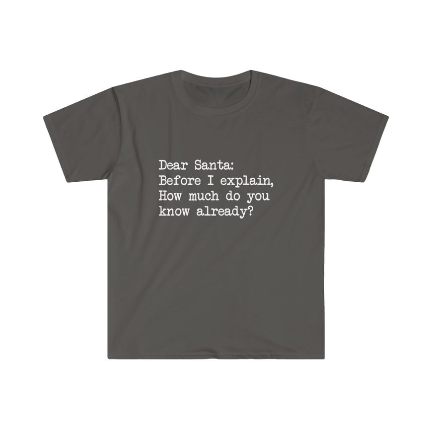 Dear Santa, Let Me Explain T-Shirt