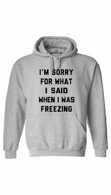 I'm Sorry For What I Said When I Was Freezing Hoodie