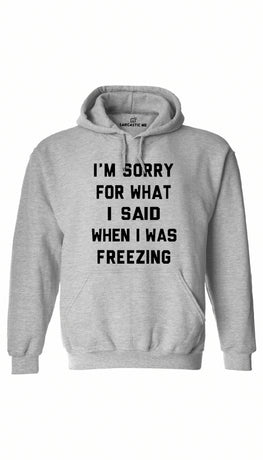I'm Sorry For What I Said When I Was Freezing Gray Hoodie | Sarcastic ME