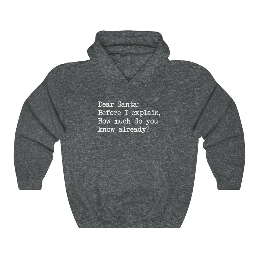 Dear Santa, Let Me Explain Hooded Sweatshirt
